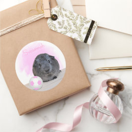Niedliche Guinea Pig Pink Soccer Ball Individuelle Runder Aufkleber