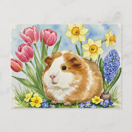 Niedliche Guinea Schwein mit Frühlingsblumen Postk Postkarte