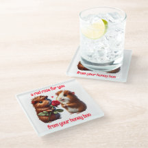 Niedliche Guinea Schweine in Liebe Austausch einer