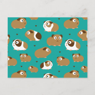 Niedliche Guinea Schweine Postkarte