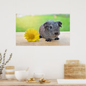 Niedliche Guinea Schweinefleisch mit Blume Poster (Küche)