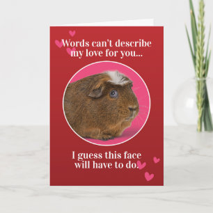 Niedliche Guinea Valentinstag Feiertagskarte