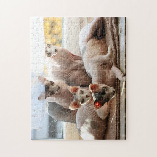 Niedliche Haarlose Katzen im Fenster - Sphynx Puzzle (Vertikal)