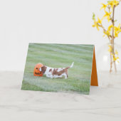 Niedliche Halloween Card W/Funny Basset Hound & Pu Karte (Gelbe Blume)