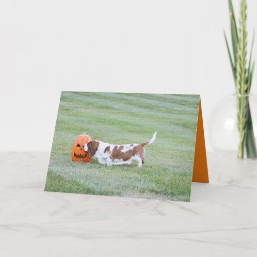 Niedliche Halloween Card W/Funny Basset Hound & Pu Karte (Vorderseite)
