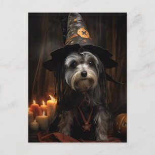 Niedliche Halloween-Postkarte Postkarte