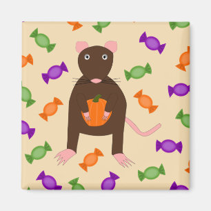 Niedliche Halloween-Rat und Pumpkin Magnet