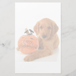 Niedliche Halloween-Welpe mit Kürbis Briefpapier
