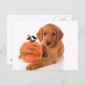 Niedliche Halloween-Welpe mit Kürbis Postkarte (Vorne/Hinten)