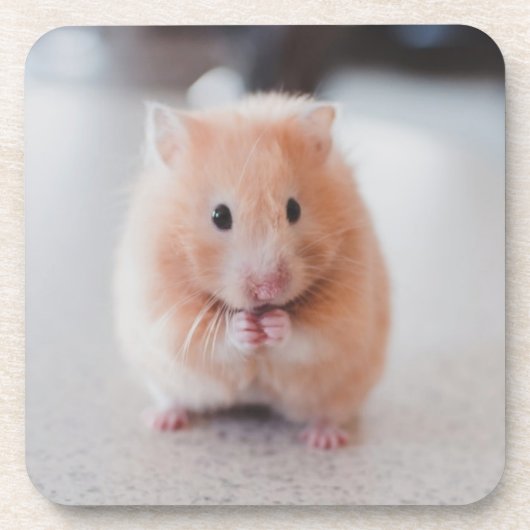 Niedliche Hamster-Liebe Getränkeuntersetzer (Vorderseite)