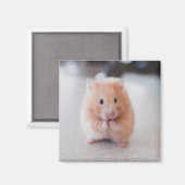 Niedliche Hamster-Liebe Magnet (Vorderseite/Rückseite)