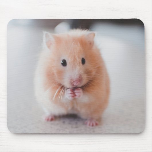 Niedliche Hamster-Liebe Mousepad (Vorne)