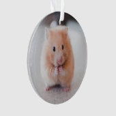 Niedliche Hamster-Liebe Ornament (Vorderseite)