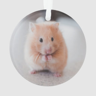 Niedliche Hamster-Liebe Ornament