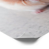 Niedliche Hamster-Liebe Poster (Ecke)