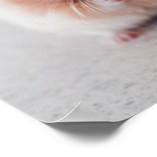 Niedliche Hamster-Liebe Poster (Ecke)