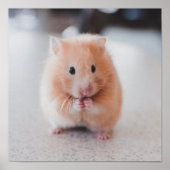 Niedliche Hamster-Liebe Poster (Vorne)