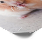 Niedliche Hamster-Liebe Poster (Ecke)