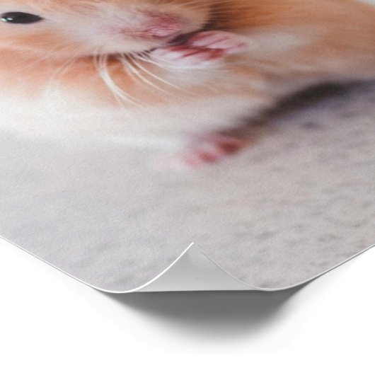 Niedliche Hamster-Liebe Poster (Ecke)