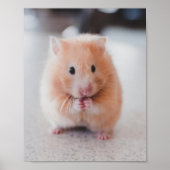 Niedliche Hamster-Liebe Poster (Vorne)