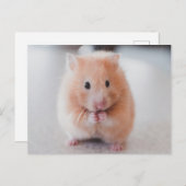 Niedliche Hamster-Liebe Postkarte (Vorne/Hinten)