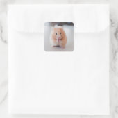Niedliche Hamster-Liebe Quadratischer Aufkleber (Tasche)