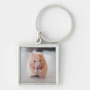 Niedliche Hamster-Liebe Schlüsselanhänger