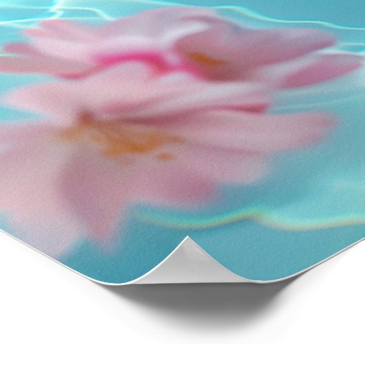 Niedliche Hamsterkill im Wasser Poster (Ecke)