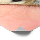 Niedliche Hamsterwand 1 Poster (Ecke)