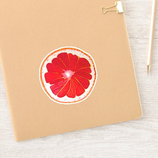 Niedliche handbemalte Pink Grapefruit Pop Art Aufkleber (Notizbuch)
