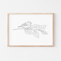 Niedliche handGezeichnet Vogelkunst