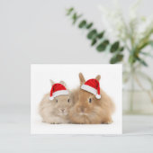 Niedliche Häschen-Feiertags-Postkarte Feiertagspostkarte (Stehend Vorderseite)