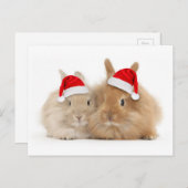 Niedliche Häschen-Feiertags-Postkarte Feiertagspostkarte (Vorne/Hinten)