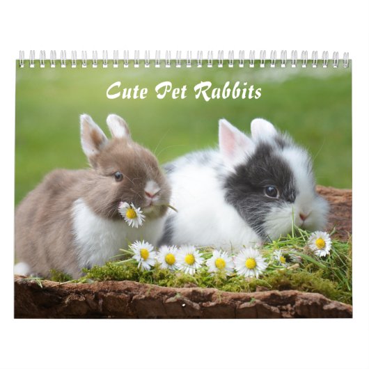 Niedliche Hasen für Haustiere Kalender (Titelbild)