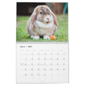 Niedliche Hasen für Haustiere Kalender (Mär 2027)