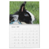 Niedliche Hasen für Haustiere Kalender (Jan 2027)