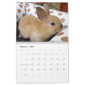Niedliche Hasen für Haustiere Kalender (Feb 2027)