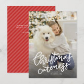 Niedliche Haustier-Urlaubskarte Feiertagskarte (Vorne/Hinten)