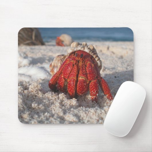 Niedliche Hermit Crab am weißen Sandstrand Mousepad (Mit Mouse)