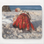 Niedliche Hermit Crab am weißen Sandstrand Mousepad (Vorne)