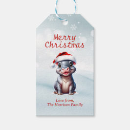 Niedliche Hippopotamus Weihnachtsmannmütze Schnee  Geschenkanhänger