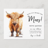Niedliche Hochlandkuh: Wir haben neue Adressversch Ankündigungspostkarte (Vorderseite)