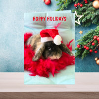 Niedliche Holland Lop Weihnachtskarte
