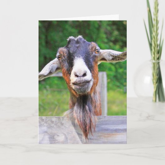 Niedliche, hübsche, herzliche Ziege, die gut aussi Karte (Vorderseite)