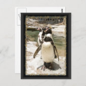Niedliche Humboldt-Pinguin-Postkarten Postkarte (Vorne/Hinten)