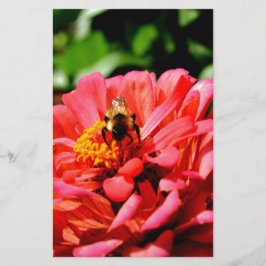 Niedliche Hummel aus roter Koralle