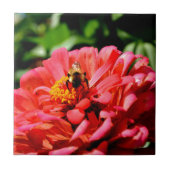 Niedliche Hummel aus roter Koralle Fliese (Vorderseite)