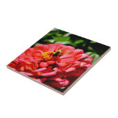 Niedliche Hummel aus roter Koralle Fliese (Seite)