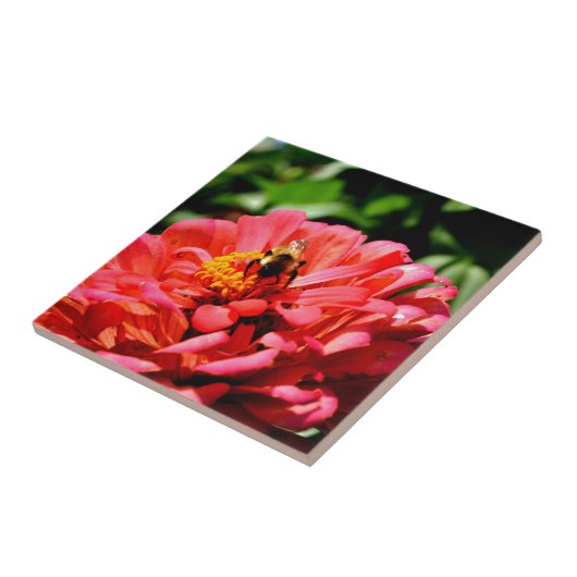 Niedliche Hummel aus roter Koralle Fliese (Seite)