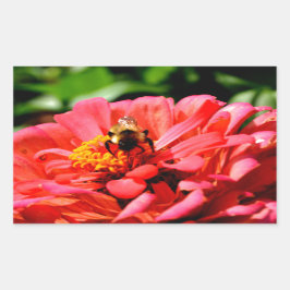 Niedliche Hummel aus roter Koralle Rechteckiger Aufkleber